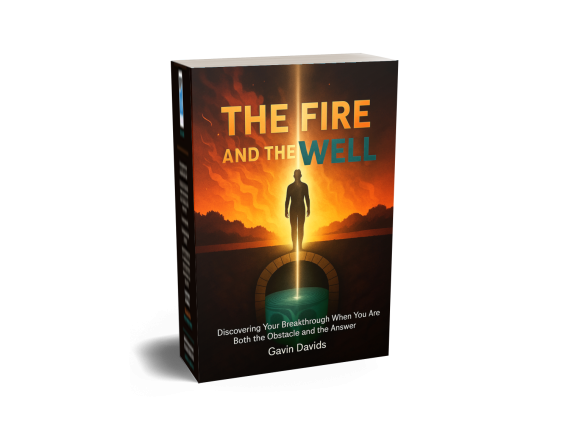 The Fire and the Well by Gavin Davids, paperback